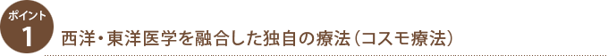ポイント１.西洋・東洋医学を融合した独自の療法（コスモ療法）