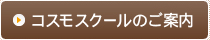 コスモスクールのご案内