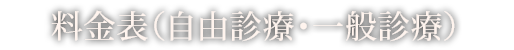 料金表（自由診療・一般診療）