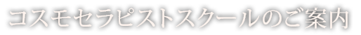 コスモセラピストスクールのご案内