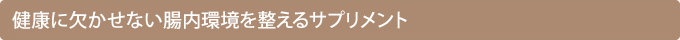 健康に欠かせない腸内環境を整えるサプリメント